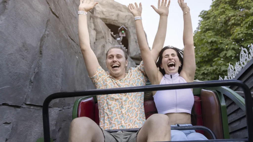 The roller coaster